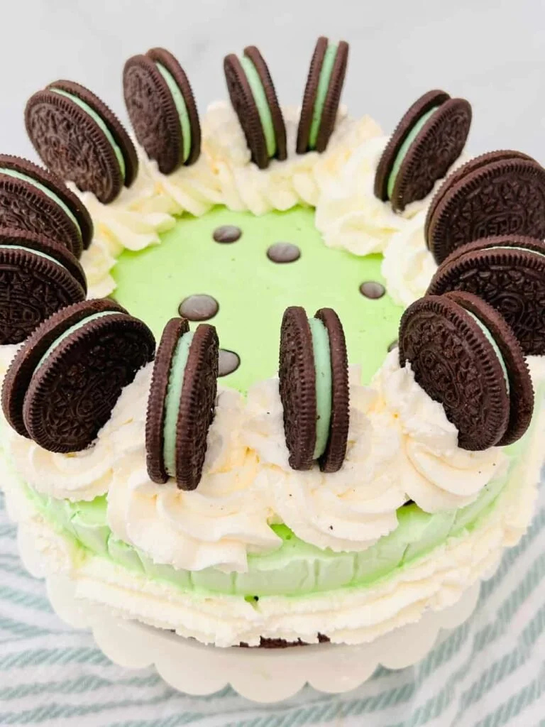 Mint chocolate ice cream cake with chocolate chips and mint leaves