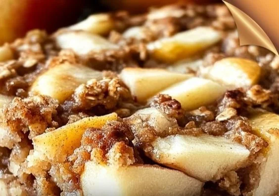 Bowl of oatmeal apple bake served warm with fresh apples and cinnamon.