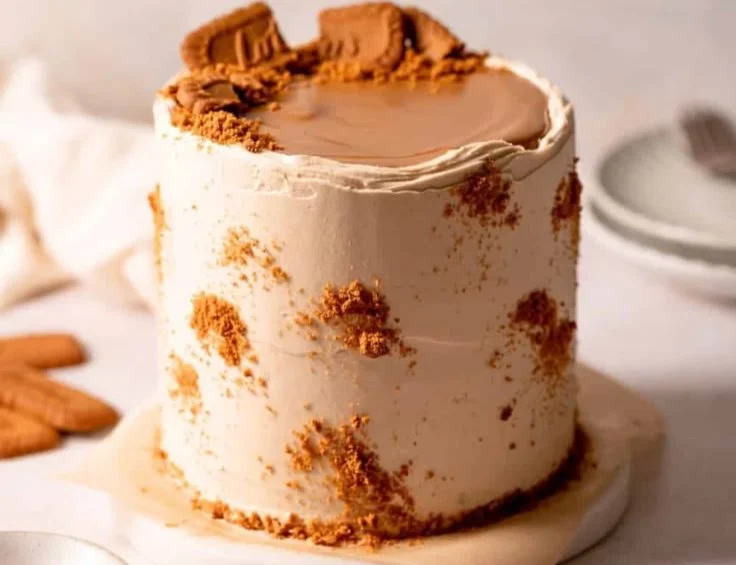 Decadent Biscoff cookie butter cake topped with creamy frosting and Biscoff crumbs.