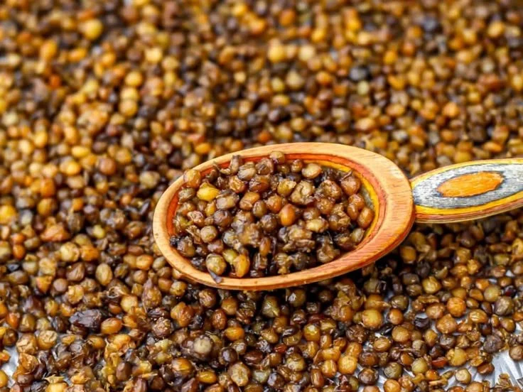 Bowl of crispy oven-roasted lentils seasoned with spices