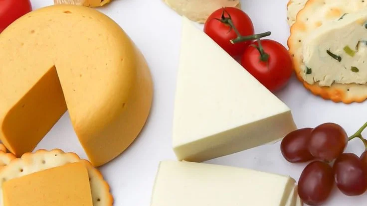 Various types of vegan cheese on display, showcasing plant-based alternatives.